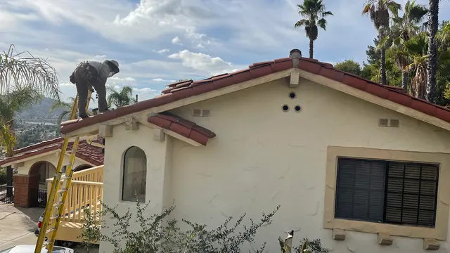 AA-Beekeeper | Live Bee Removal & Relocation — photo from the business 7
