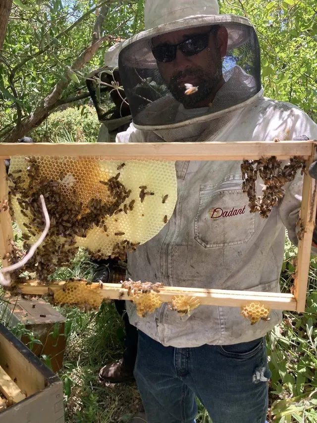 AA-Beekeeper | Live Bee Removal & Relocation — photo from the business 1