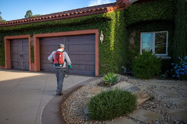 Simple Pest Management — photo from the business 7