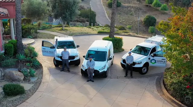 Simple Pest Management — photo from the business 10