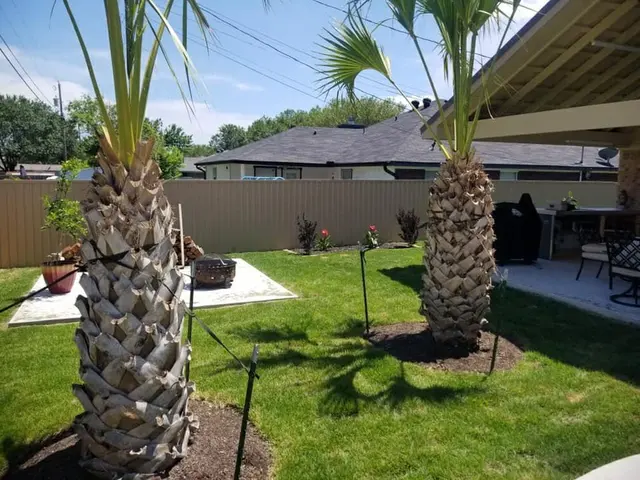 SS Irrigation & Landscaping — photo from the business 7
