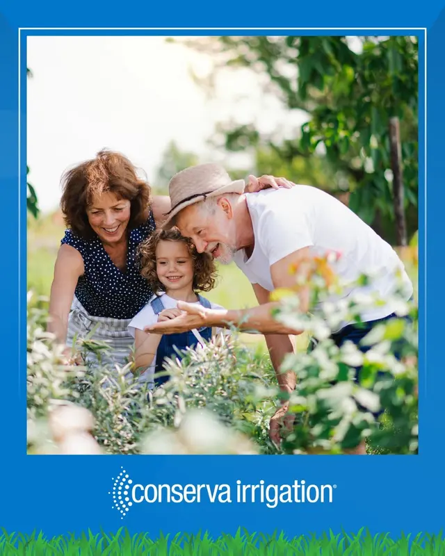 Conserva Irrigation of Temple — photo from the business 2