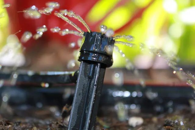Conserva Irrigation of Temple — photo from the business 11
