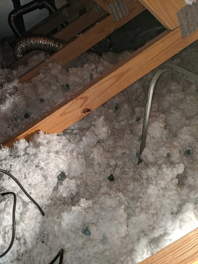 Kaptar Environmental Pest Control Services - Naperville — photo from the business 4