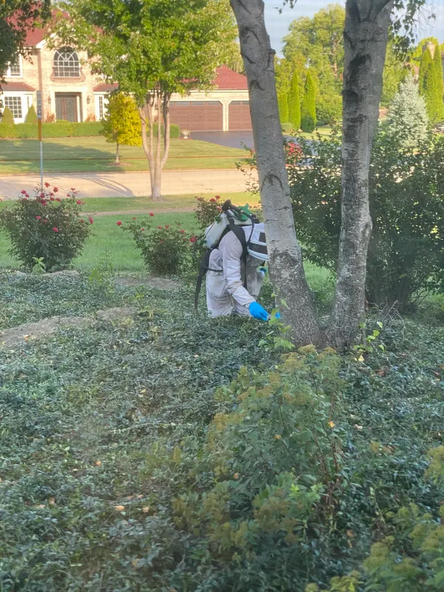 Kaptar Environmental Pest Control Services - Naperville — customer photo 1