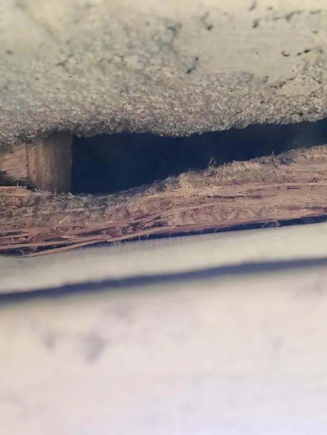 Kaptar Environmental Pest Control Services - Naperville — customer photo 8