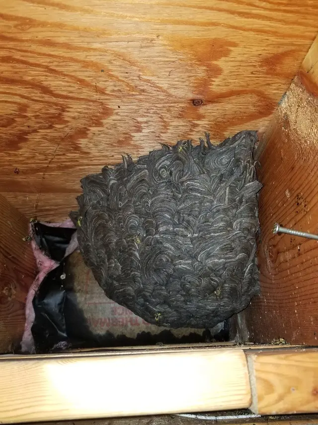 Kaptar Environmental Pest Control Services - Naperville — photo from the business 5