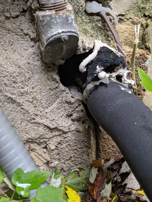 Kaptar Environmental Pest Control Services - Naperville — photo from the business 9