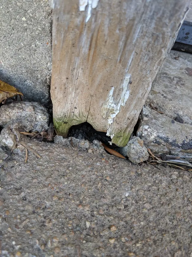 Kaptar Environmental Pest Control Services - Naperville — photo from the business 3