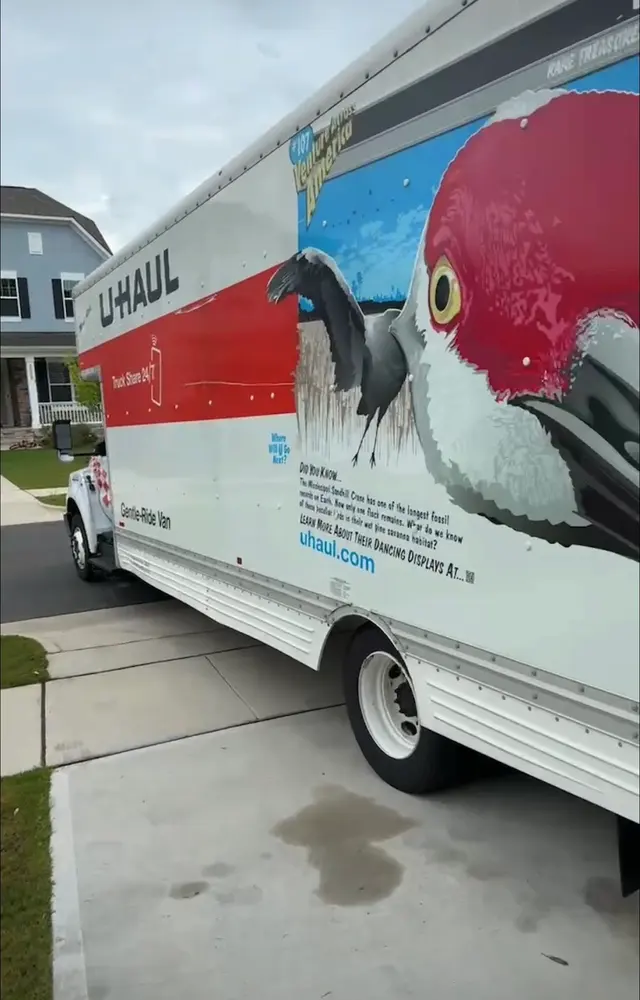 Customer photo from Dana's review
