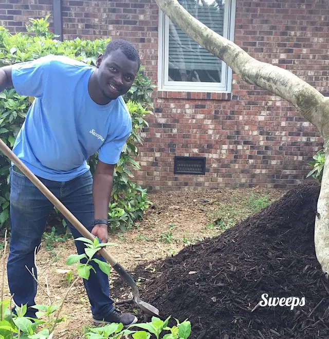 Sweeps Moving Company Raleigh — photo from the business 4