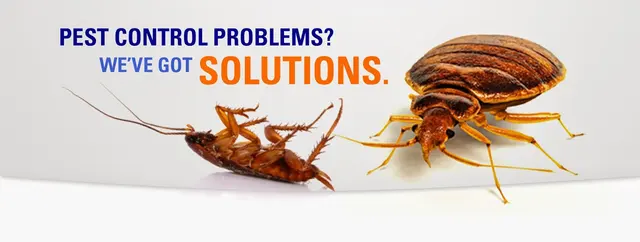 Aerex Pest Control — photo from the business 9