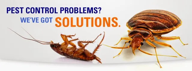 Aerex Pest Control — photo from the business 10