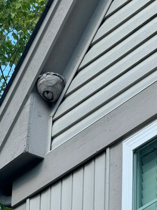 Aerex Pest Control — customer photo 3