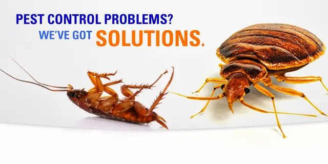 Aerex Pest Control — photo from the business 7