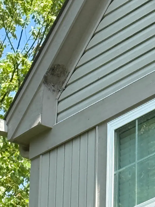 Aerex Pest Control — customer photo 6
