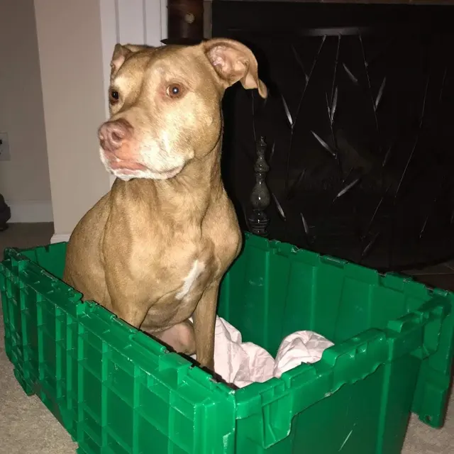 GreenTree Crates — photo from the business 11