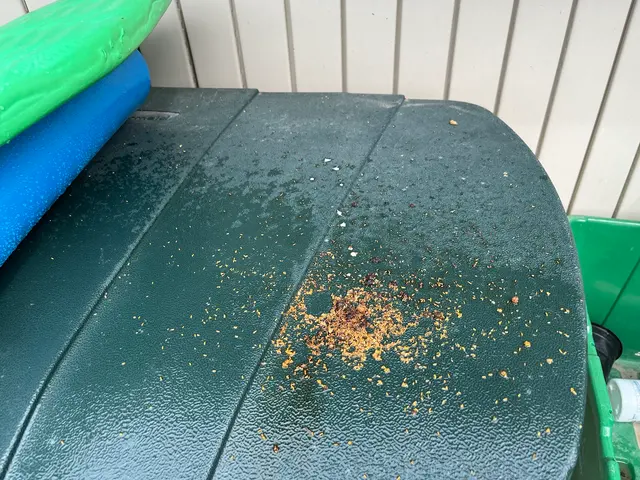 Pointe Pest Control - West Chicago — customer photo 7