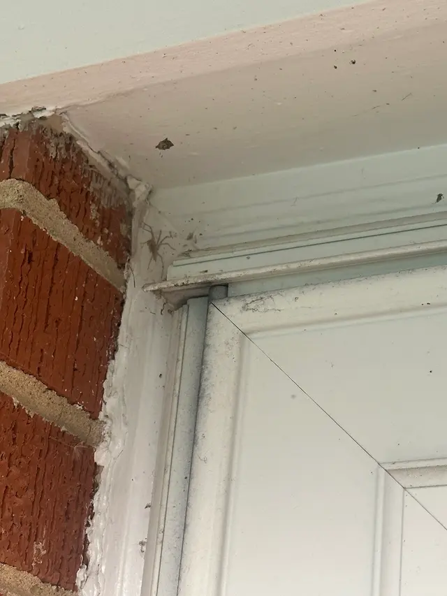 Pointe Pest Control - West Chicago — customer photo 6