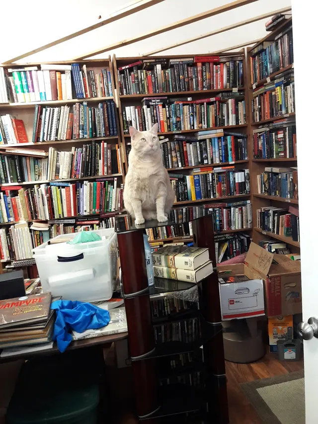 Copper Cat Books LLC — photo from the business 10