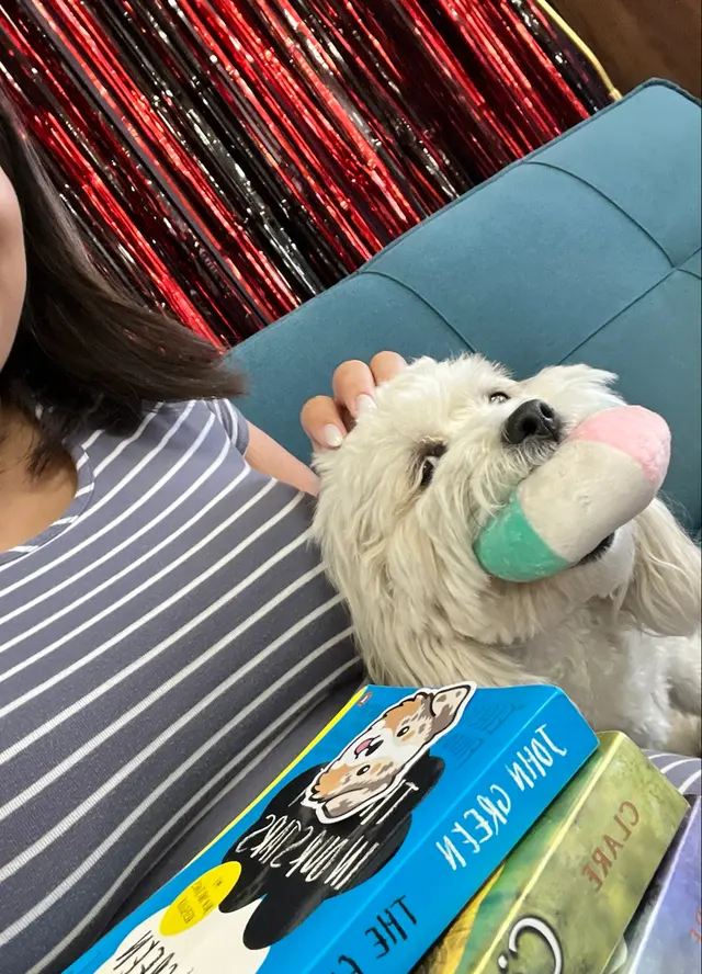 Buffy's Book Boutique — customer photo 2