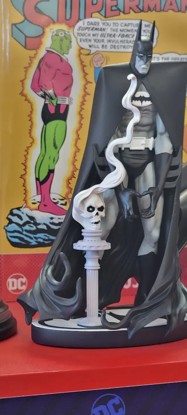 MaximuM Comics — customer photo 6