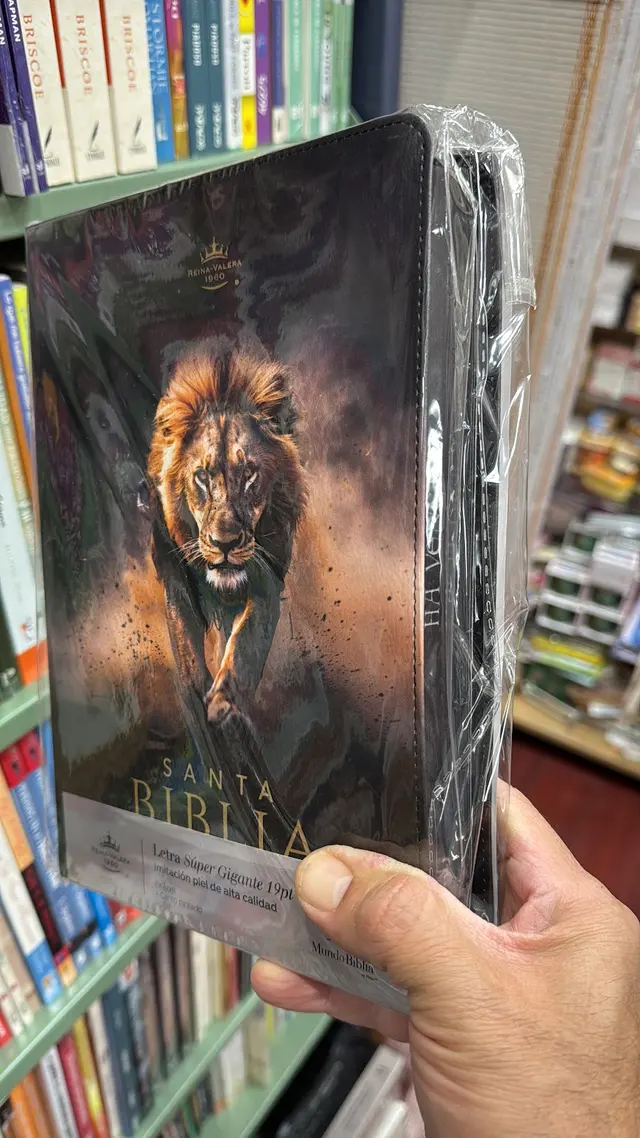 LIBRERIA SHALOM — photo from the business 9