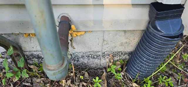 Chem-Wise Pest Control — customer photo 8