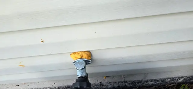 Chem-Wise Pest Control — customer photo 5