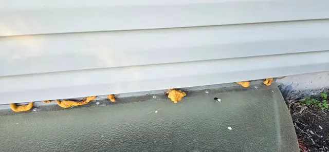 Chem-Wise Pest Control — customer photo 6