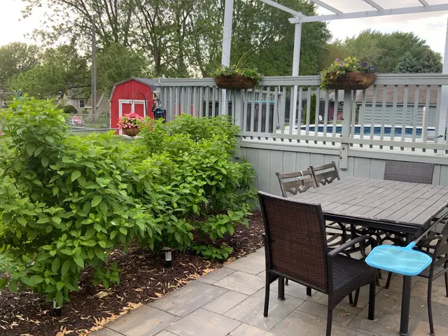 Chem-Wise Pest Control — customer photo 3