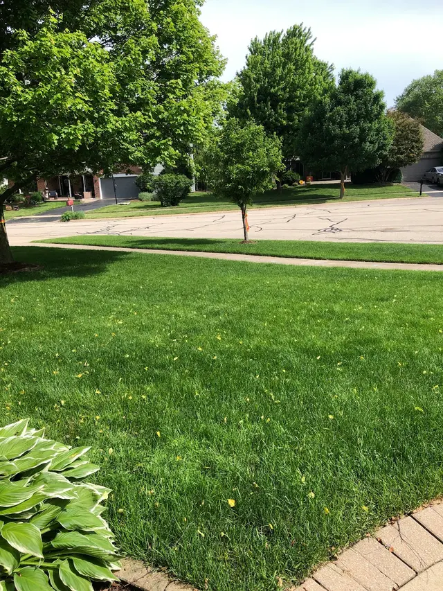 Chem-Wise Pest Control — customer photo 11