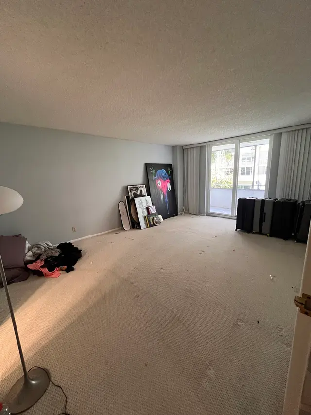 The Junkluggers of Broward West & Palm Beach South — customer photo 9