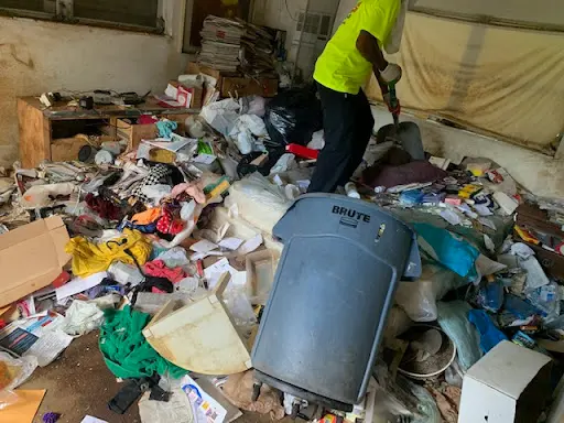 XS Trash — photo from the business 6