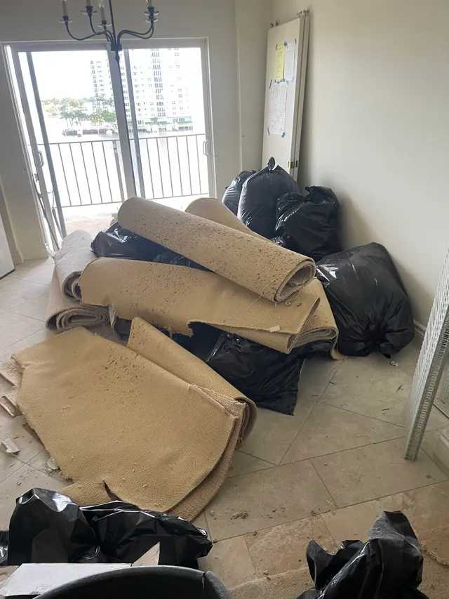 Junk Squad Removal — photo from the business 11