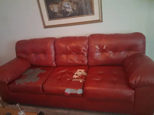 Customer photo of work by Junk King Fort Lauderdale, from Mark E's review