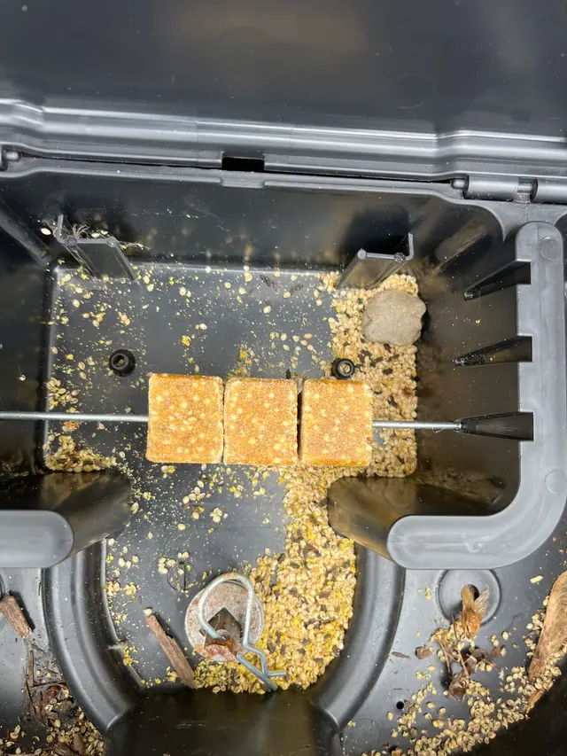 Aptive Pest Control — customer photo 6