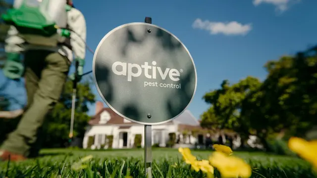 Aptive Pest Control — photo from the business 1