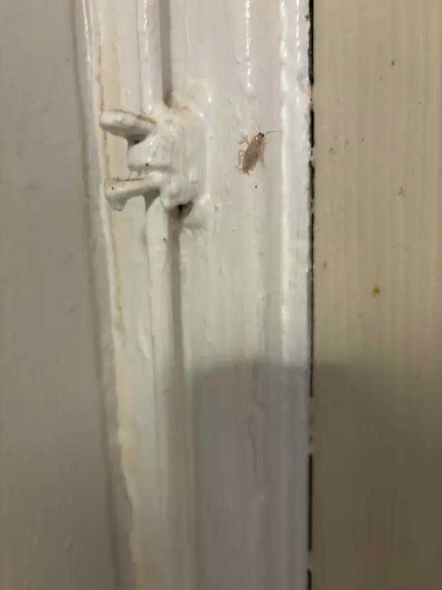 Men in Black Pest Control Services — photo from the business 7