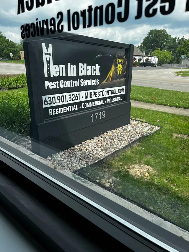 Men in Black Pest Control Services — photo from the business 10
