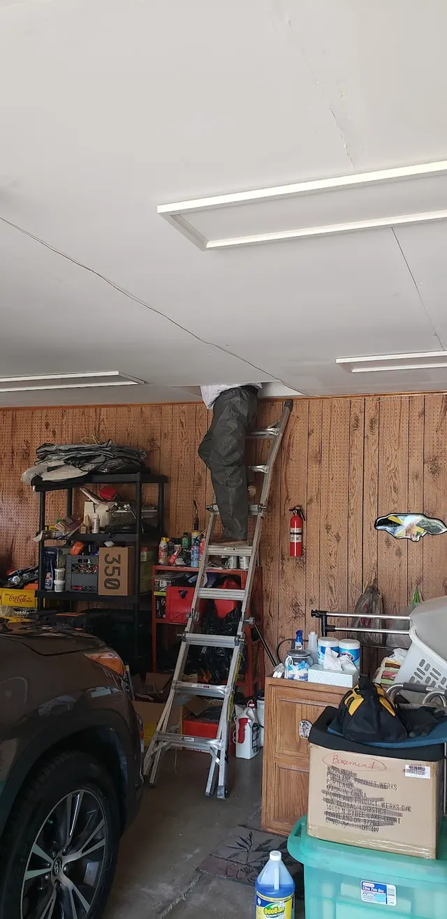 ProActive Pest Management — customer photo 9