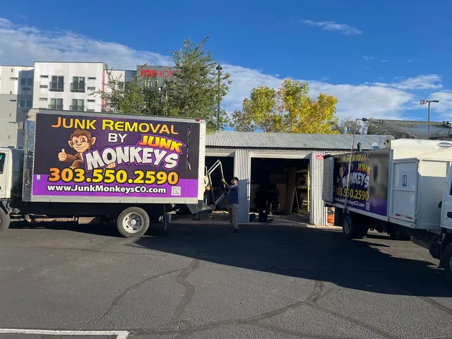 Junk Monkeys Junk Removal — photo from the business 1