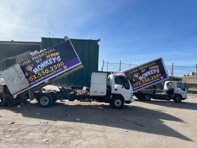 Junk Monkeys Junk Removal — photo from the business 8
