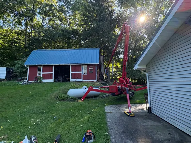 Mathews Tree Service — customer photo 6