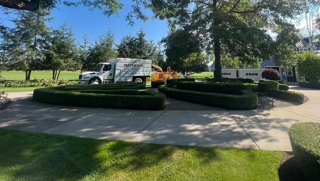 Mathews Tree Service — photo from the business 1