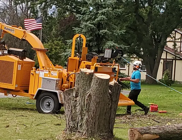 Mathews Tree Service — photo from the business 7