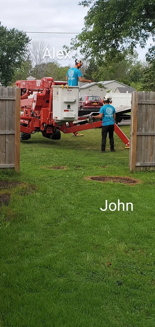 Mathews Tree Service — photo from the business 12