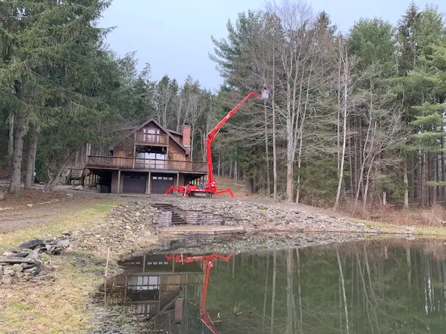 Mathews Tree Service — photo from the business 10