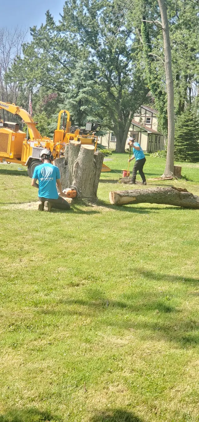 Mathews Tree Service — photo from the business 2