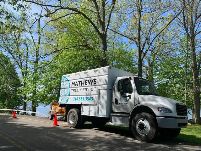 Mathews Tree Service — photo from the business 4